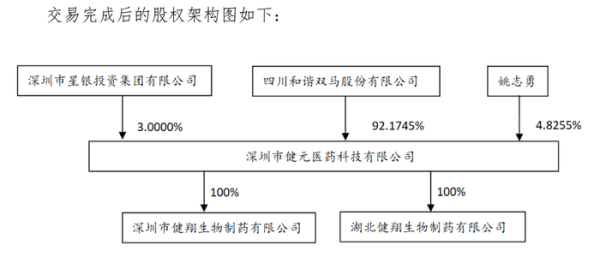 证券公司的股票 股价一字涨停！四川双马拟近16亿高溢价收购深圳健元，标的去年净资产为负